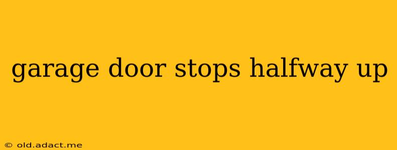 garage door stops halfway up