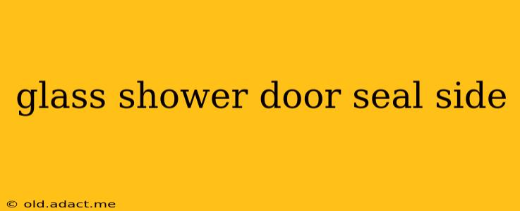 glass shower door seal side