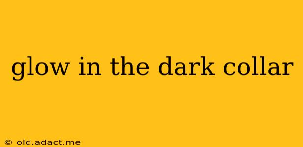 glow in the dark collar