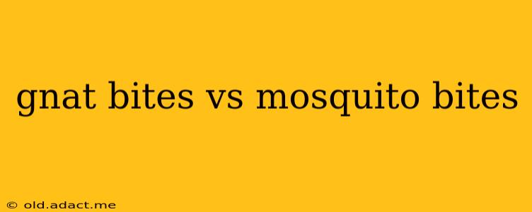 gnat bites vs mosquito bites