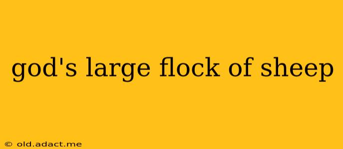 god's large flock of sheep