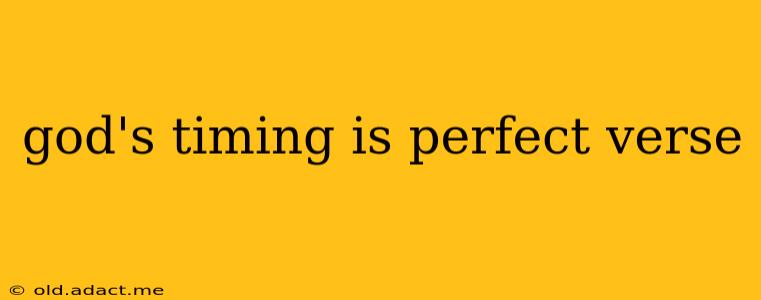 god's timing is perfect verse