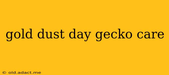 gold dust day gecko care
