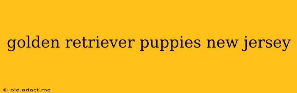 golden retriever puppies new jersey