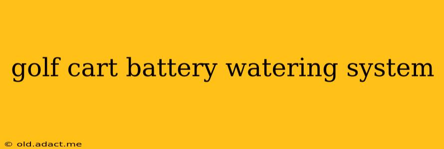golf cart battery watering system