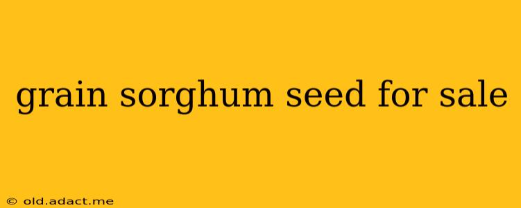 grain sorghum seed for sale