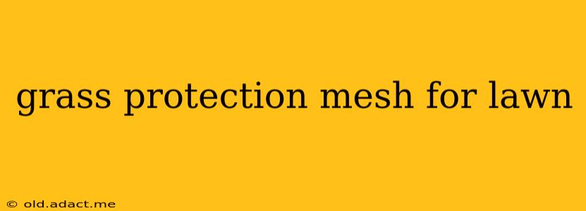 grass protection mesh for lawn