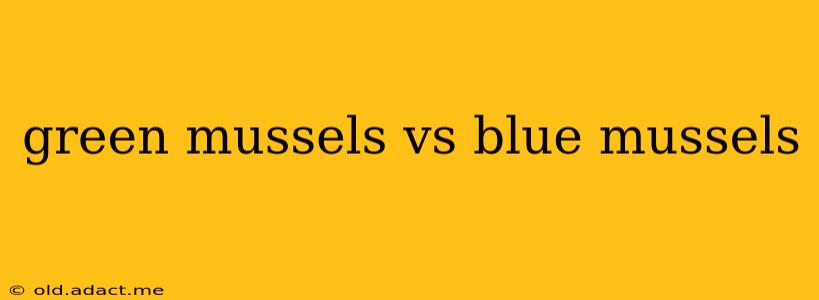green mussels vs blue mussels
