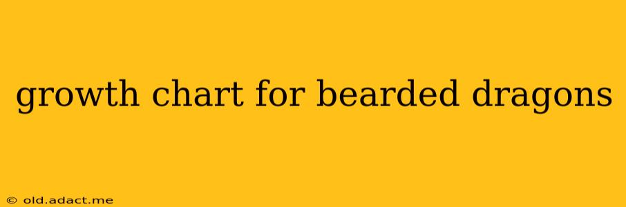 growth chart for bearded dragons