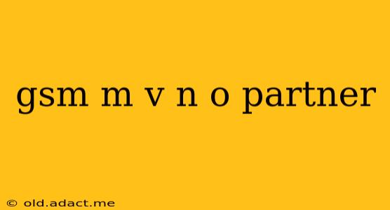 gsm m v n o partner