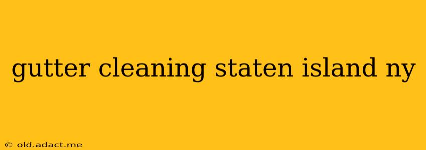 gutter cleaning staten island ny