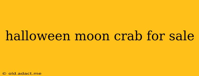 halloween moon crab for sale