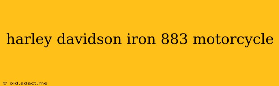 harley davidson iron 883 motorcycle