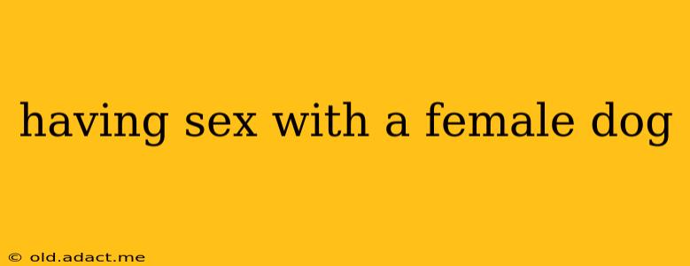 having sex with a female dog