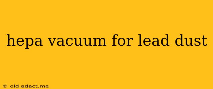 hepa vacuum for lead dust