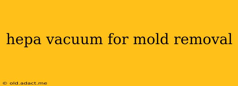 hepa vacuum for mold removal