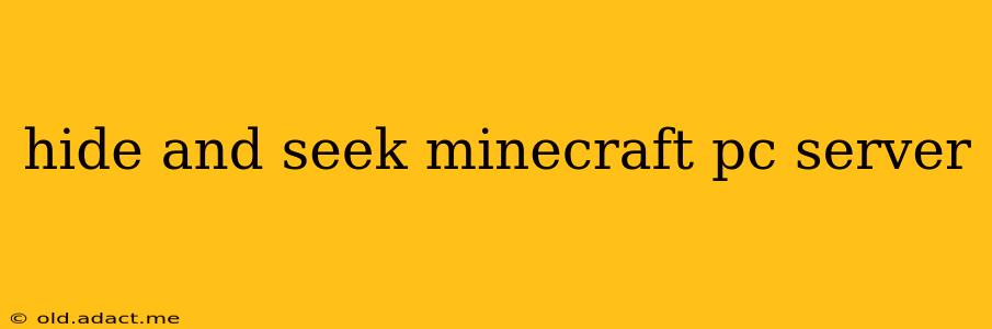 hide and seek minecraft pc server