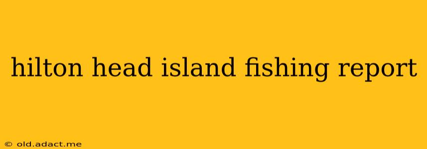hilton head island fishing report
