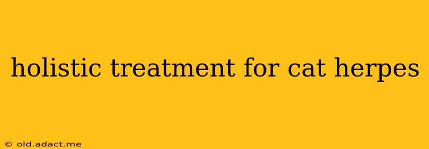 holistic treatment for cat herpes