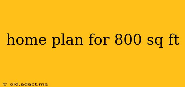 home plan for 800 sq ft