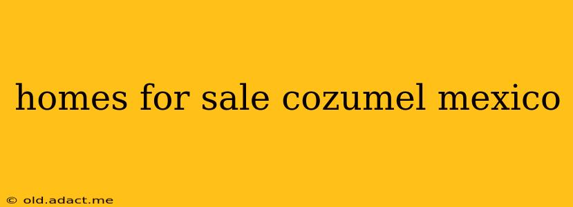 homes for sale cozumel mexico