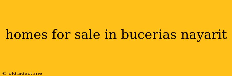 homes for sale in bucerias nayarit