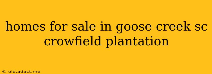 homes for sale in goose creek sc crowfield plantation