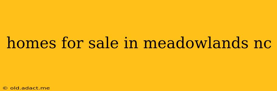 homes for sale in meadowlands nc