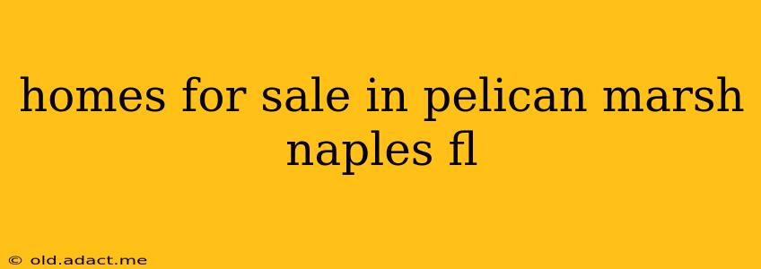 homes for sale in pelican marsh naples fl