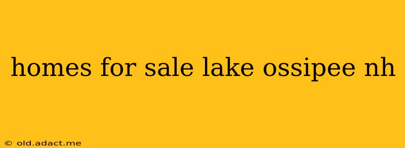 homes for sale lake ossipee nh