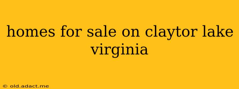 homes for sale on claytor lake virginia