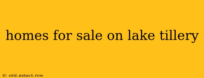 homes for sale on lake tillery