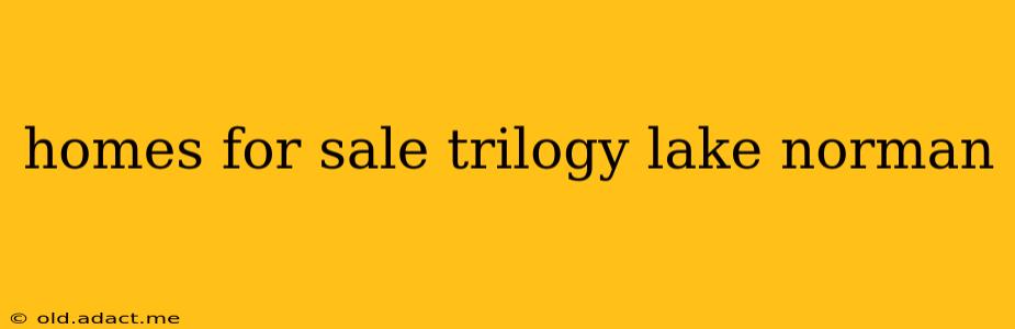 homes for sale trilogy lake norman