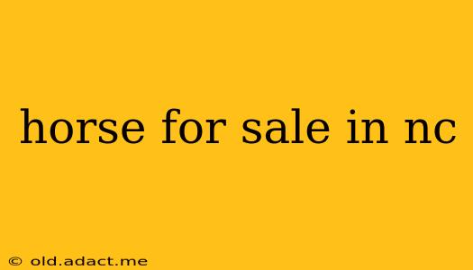 horse for sale in nc