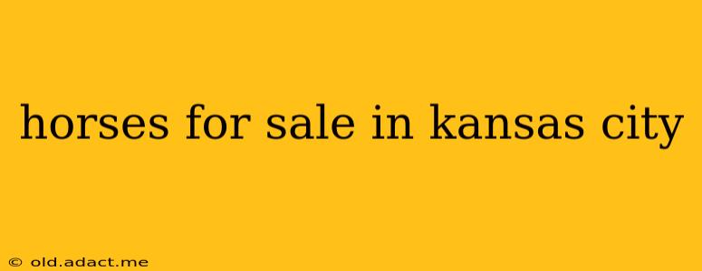 horses for sale in kansas city
