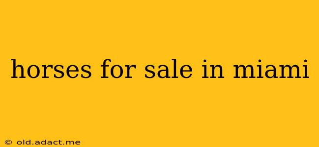 horses for sale in miami