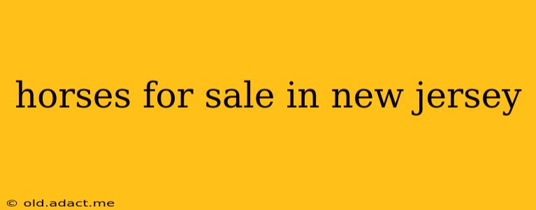 horses for sale in new jersey