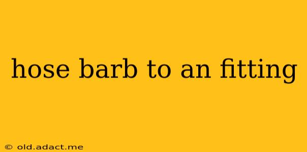 hose barb to an fitting