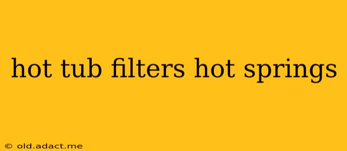hot tub filters hot springs