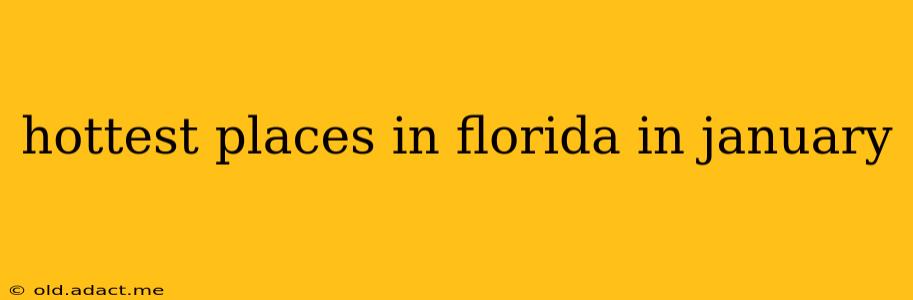 hottest places in florida in january