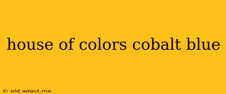 house of colors cobalt blue