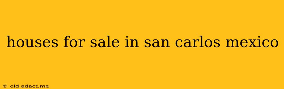 houses for sale in san carlos mexico