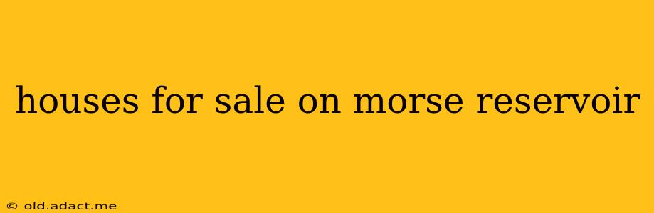 houses for sale on morse reservoir