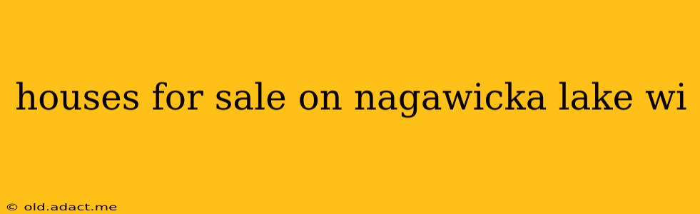 houses for sale on nagawicka lake wi