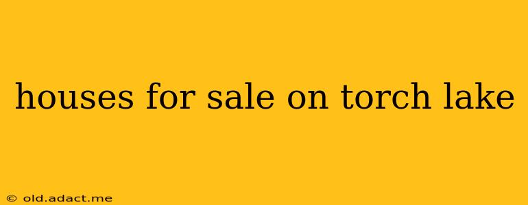 houses for sale on torch lake