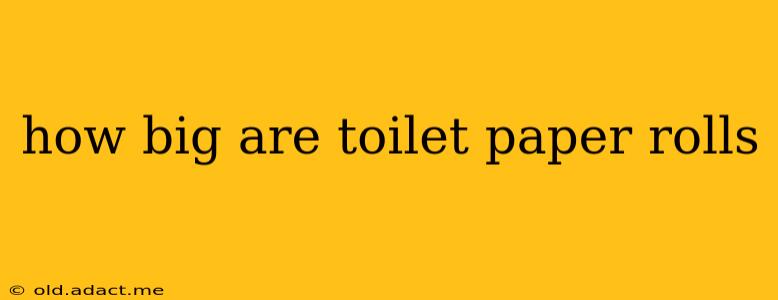 how big are toilet paper rolls