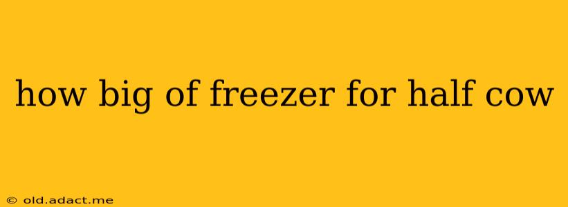 how big of freezer for half cow