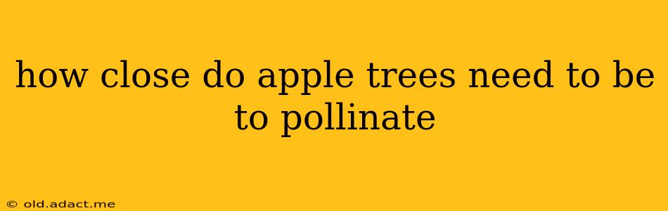 how close do apple trees need to be to pollinate