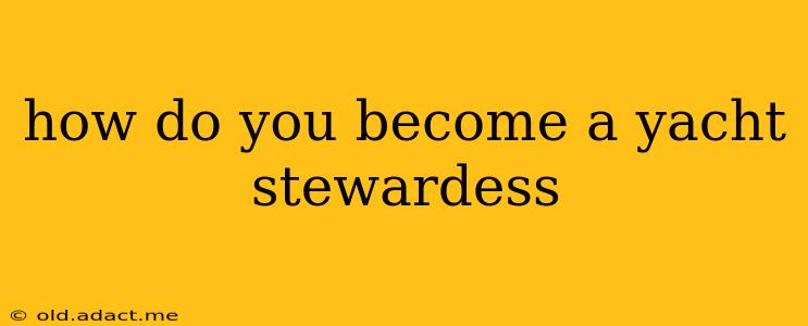 how do you become a yacht stewardess