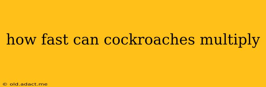 how fast can cockroaches multiply